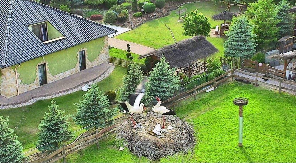 Agroturystyka Klekusiowo Болеславец Экстерьер фото