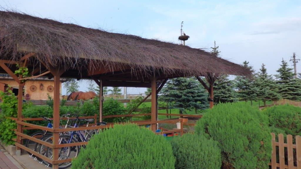 Agroturystyka Klekusiowo Болеславец Экстерьер фото